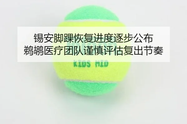 img_1783039417848_2843_1_915.jpg